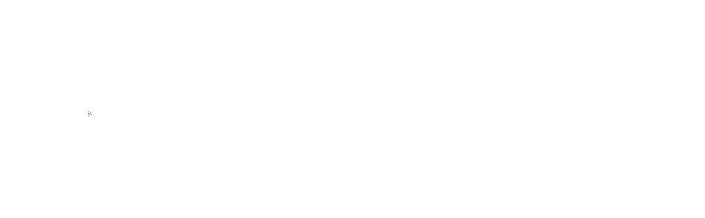 OSCAR888